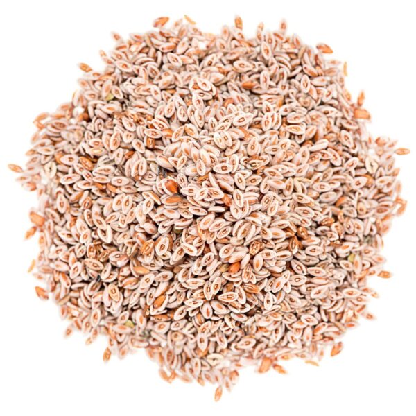Organic Psyllium Seeds