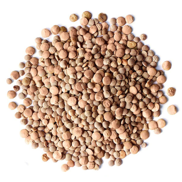 Whole Red Lentils